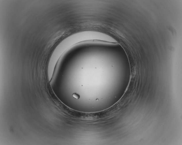 X0000113920452200910090939