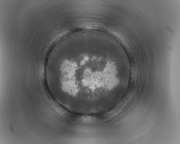X0000113920453200910090940