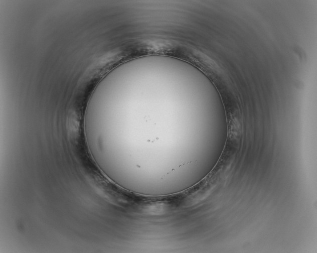 X0000113920456200910090940