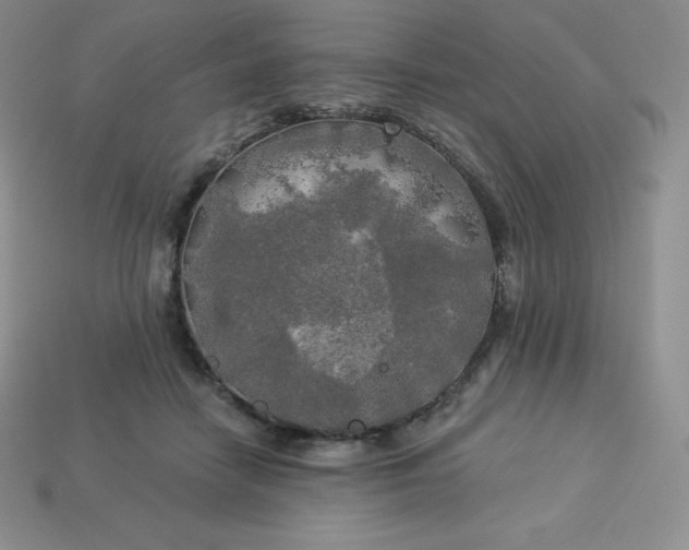 X0000113920458200910090940