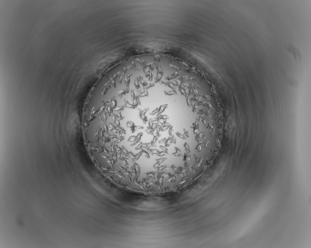X0000113920459200910090940