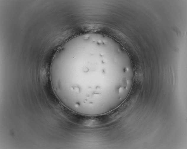 X0000113920460200910090940