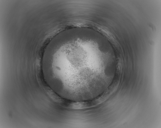 X0000113920461200910090940