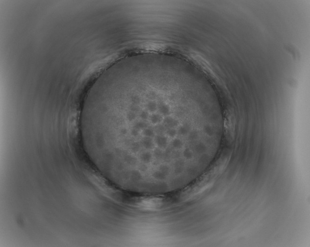 X0000113920462200910090940