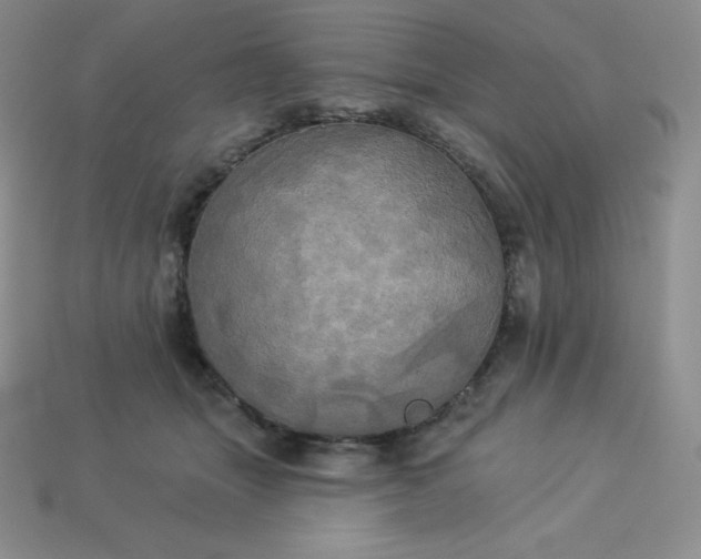 X0000113920463200910090940