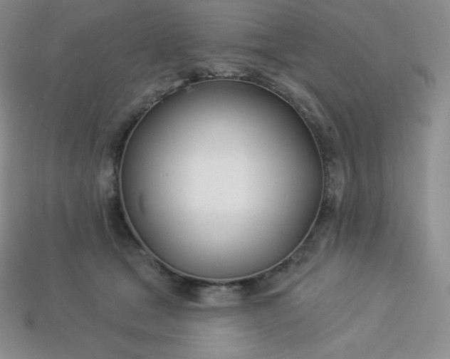 X0000113920465200910090940