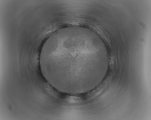 X0000113920466200910090940