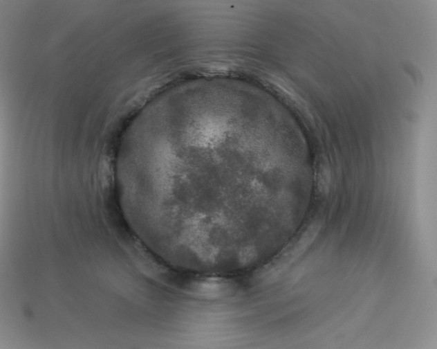 X0000113920467200910090940