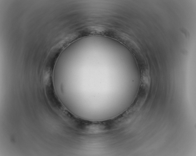 X0000113920468200910090940
