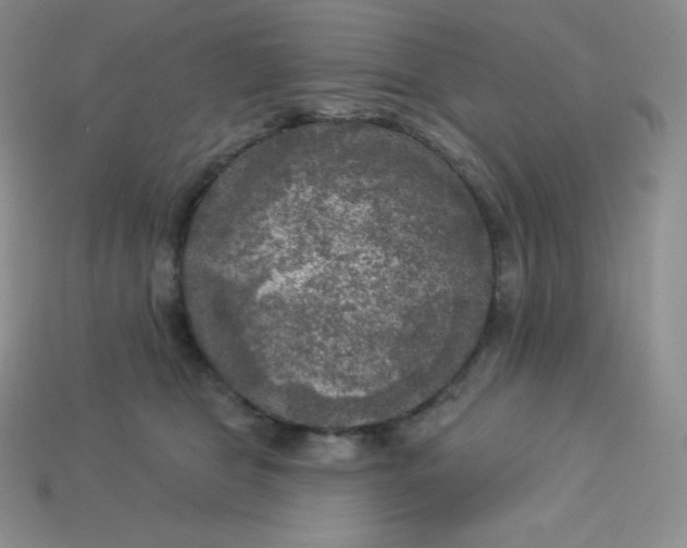 X0000113920469200910090940