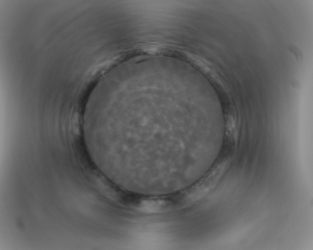 X0000113920470200910090940