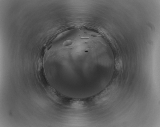 X0000113920471200910090940