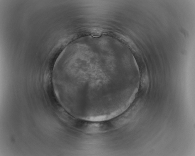 X0000113920473200910090940
