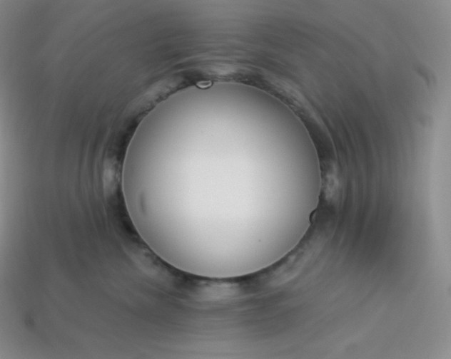 X0000113920476200910090940