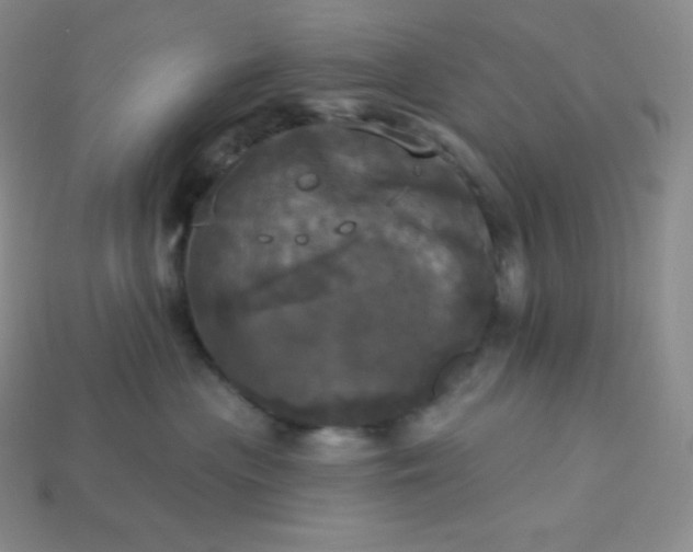 X0000113920477200910090940