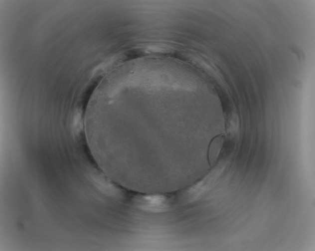 X0000113920478200910090940