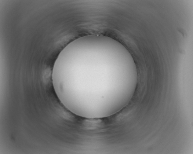X0000113920480200910090940