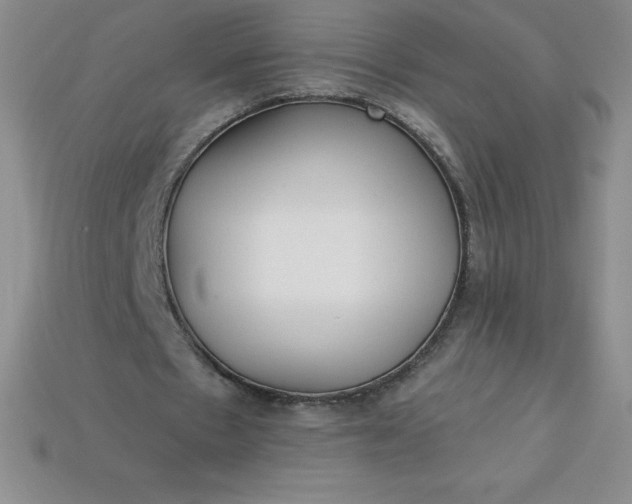 X0000113920481200910090939