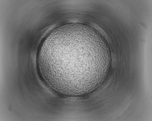X0000113920482200910090939