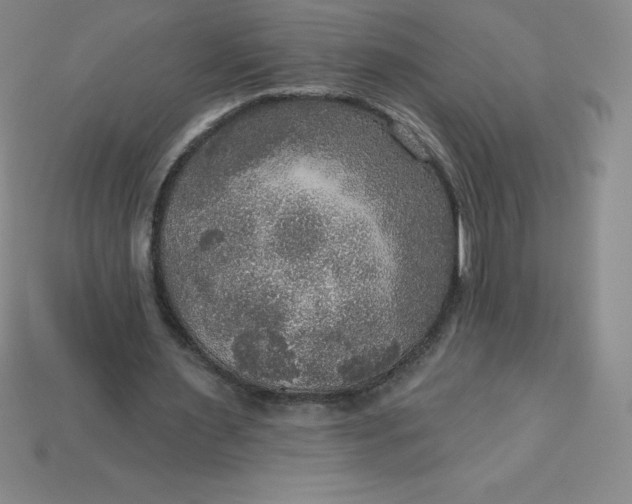 X0000113920483200910090939