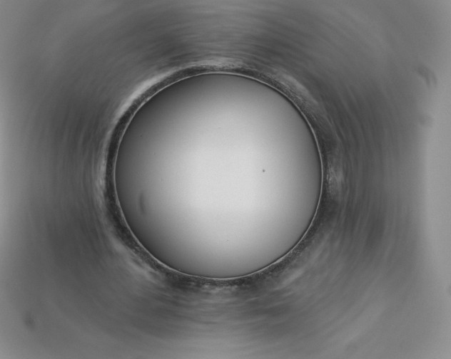 X0000113920484200910090939
