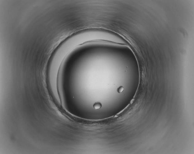 X0000113920485200910090939