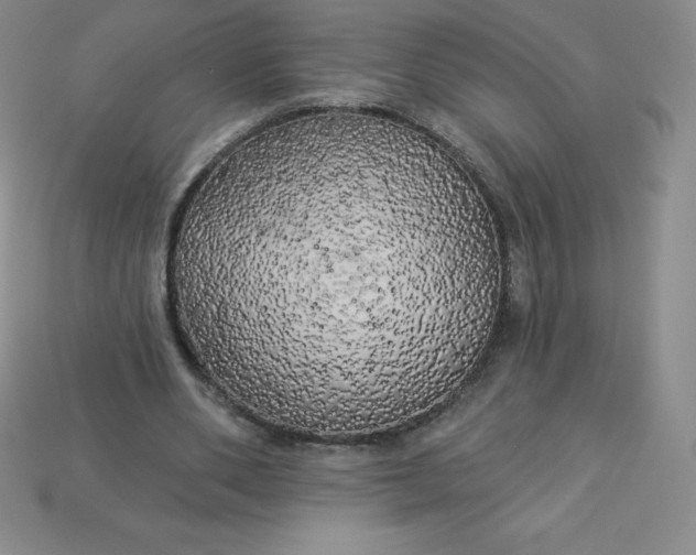 X0000113920486200910090939