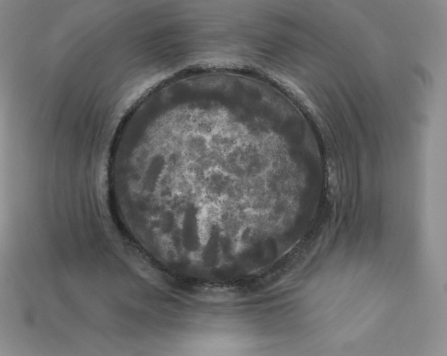 X0000113920487200910090939
