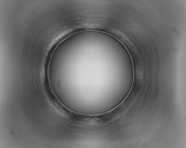 X0000113920488200910090939