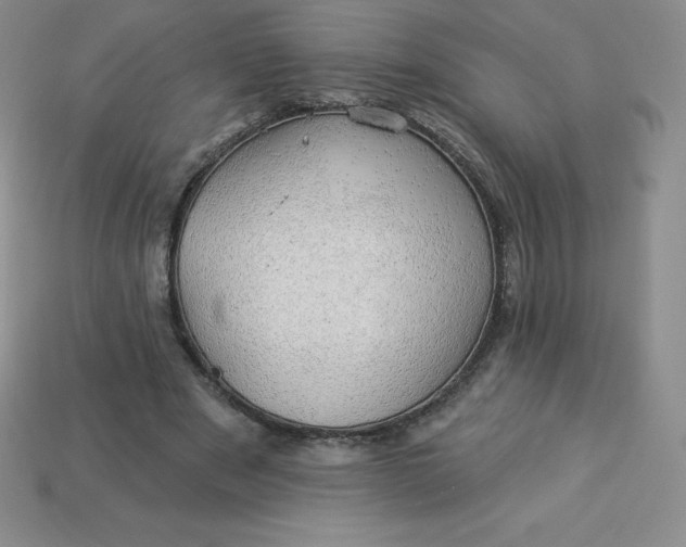 X0000113920489200910090939