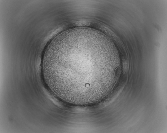 X0000113920490200910090939