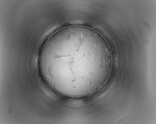 X0000113920491200910090939
