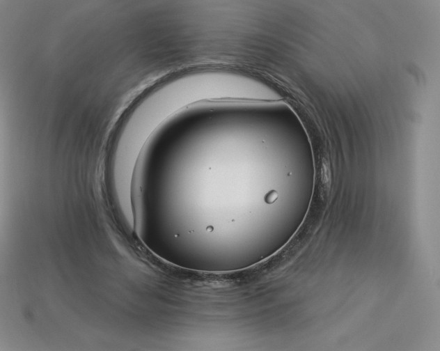 X0000113920492200910090939