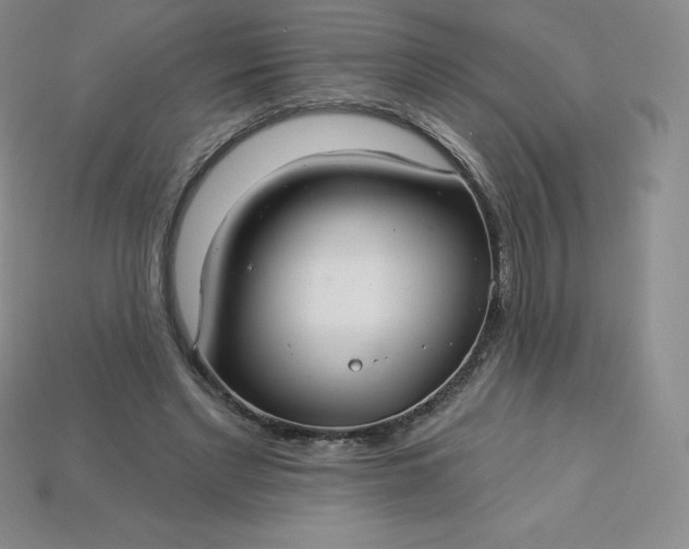 X0000113920493200910090939