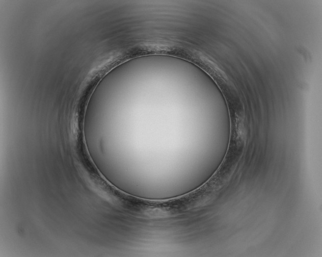 X0000113920494200910090939