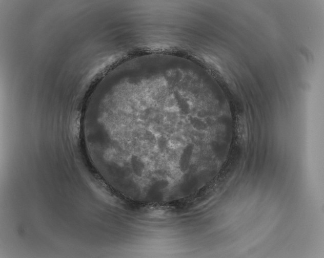 X0000113920495200910090939