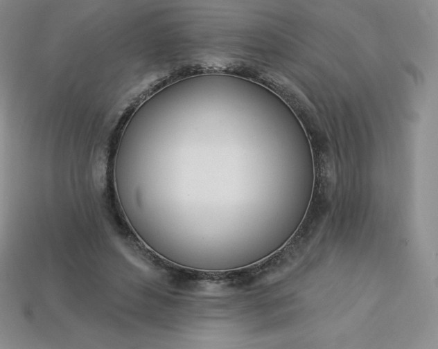 X0000113920496200910090939