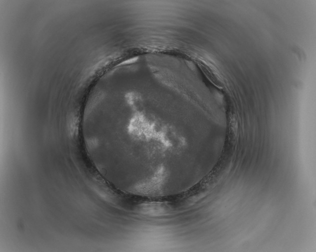 X0000113920499200910090939