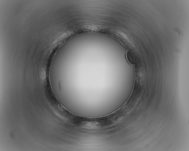 X0000113920500200910090939