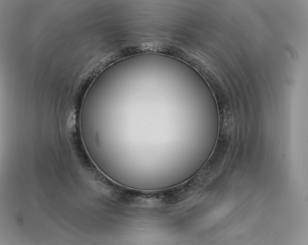 X0000113920502200910090939