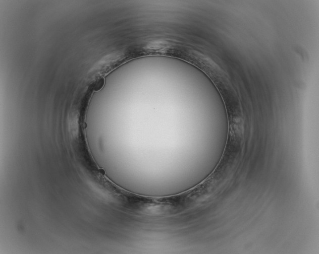 X0000113920504200910090939