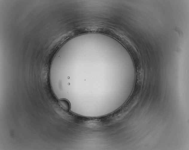 X0000113920505200910090939