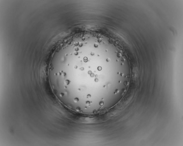 X0000113920506200910090939