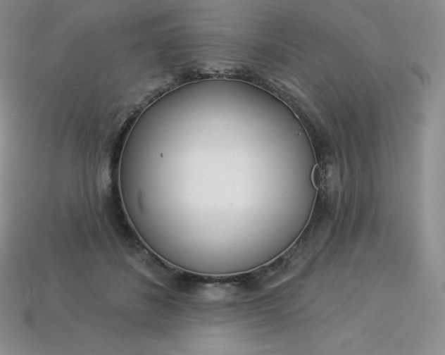 X0000113920508200910090939