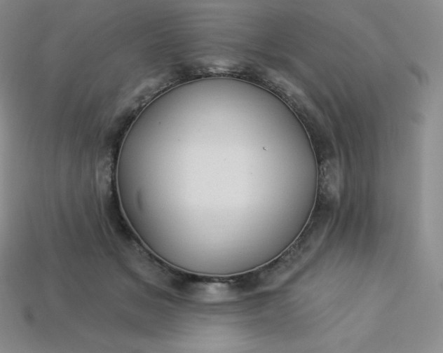 X0000113920509200910090939