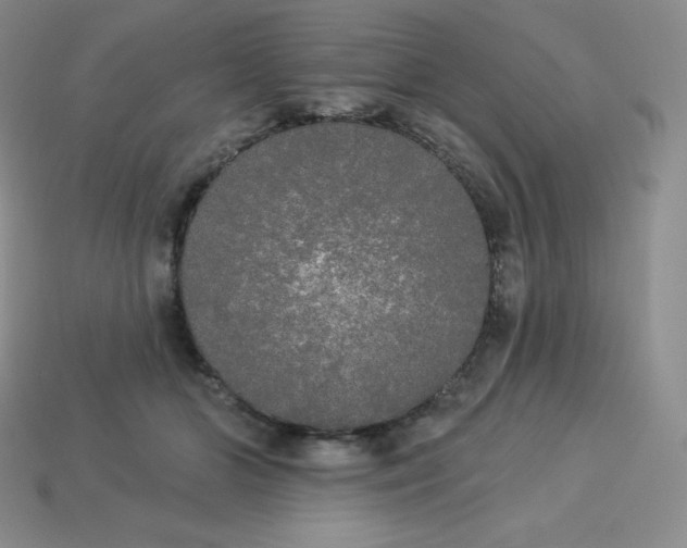 X0000113920510200910090939