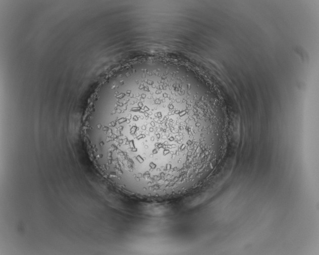X0000113920511200910090939