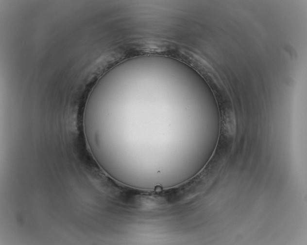 X0000113920512200910090939