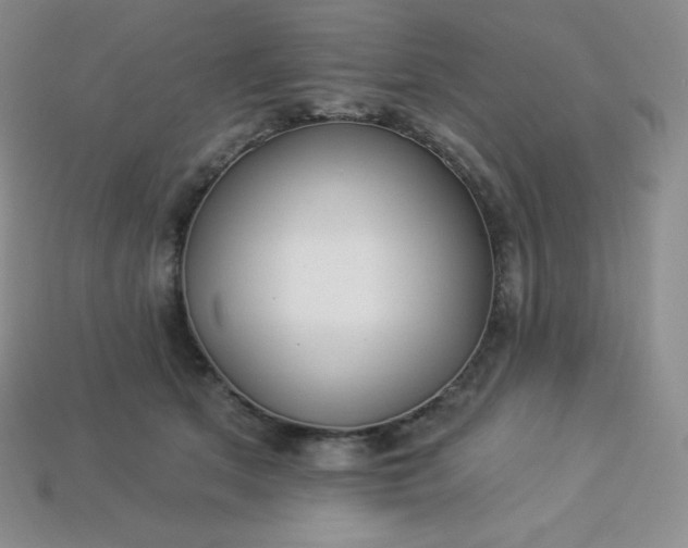 X0000113920513200910090939