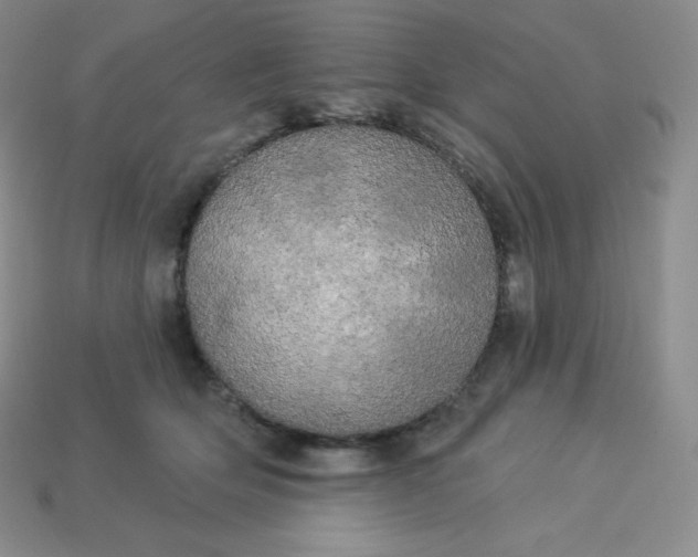 X0000113920514200910090939